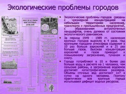3 экологических вопроса