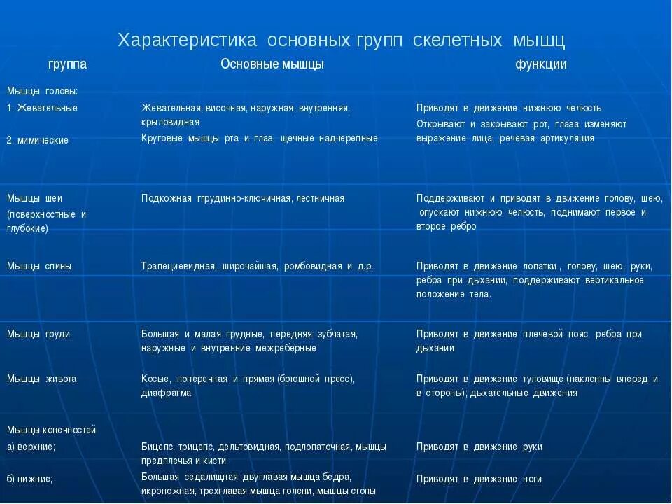 Работа и функции мышц. Основные группы скелетных мышц таблица. Группы мышц основные мышцы функции. Характеристика основных групп скелетных мышц. Группы мышц основные мышцы функции таблица.