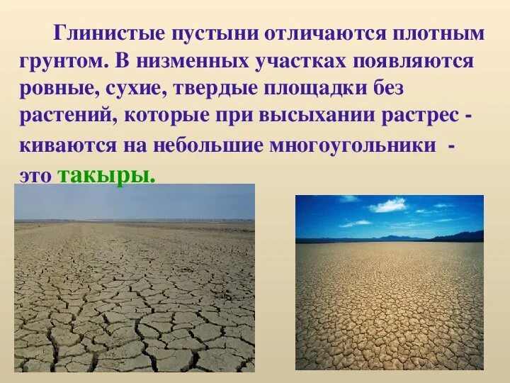 Конспект урока пустыня 4 класс. Презентация по окружающему миру 4 класс пустыни. Глинистые пустыни. Глинистые пустыни такыры. Пустыни 4 класс.