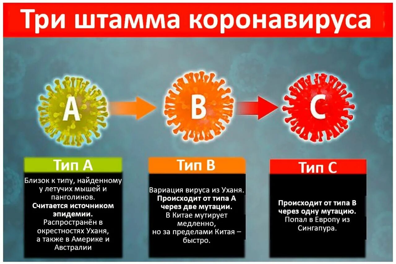 Признаки нового штампа короновируса. Индийский штамм коронавируса симптомы. Симптомы нового штамма коронавируса. Дельта штамм коронавируса симптомы