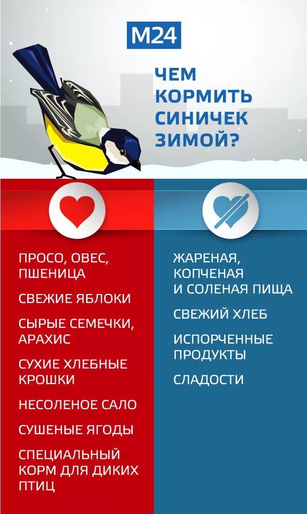 Какую крупу можно давать синичкам