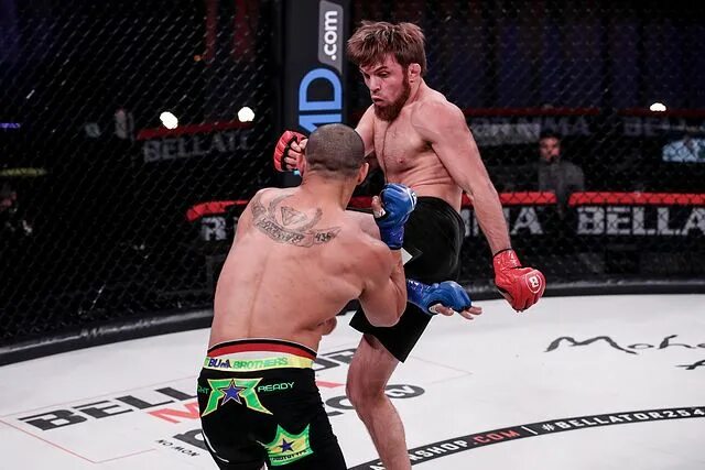 Магомед магомедов gtnh zy. Магомед анкалаев ufc. Мустафаев магомед даитбегович. Шон стриклэнд. Ренат хавалов.