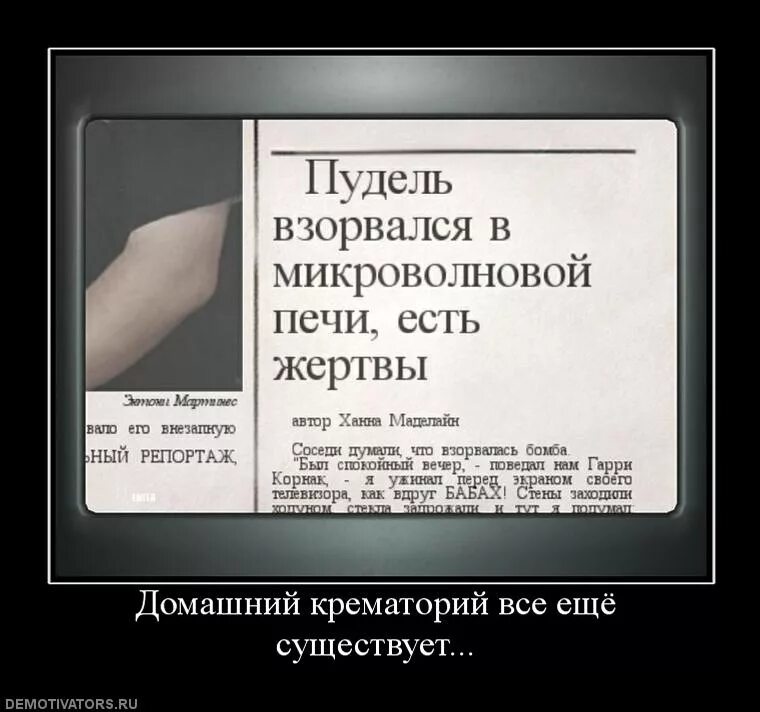 Пудель в микроволновке взорвался. Демотиваторы про микроволновку. Пудель и микроволновка. Шутки про старую микроволновку. Пудель в микроволновке