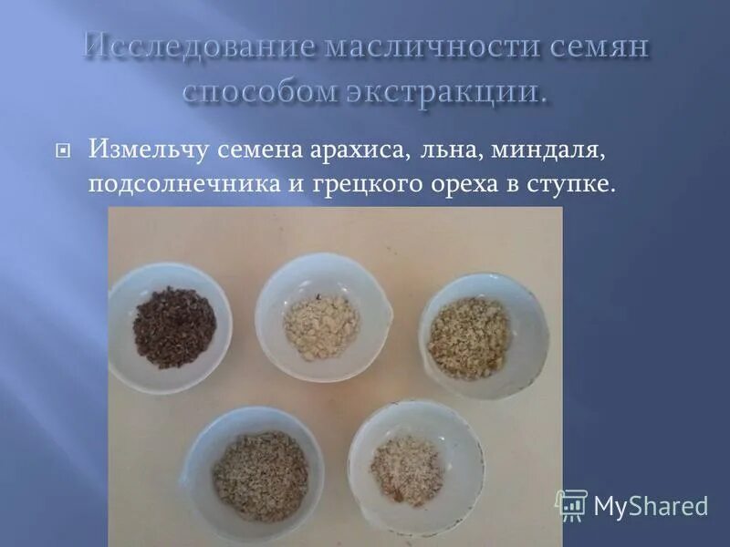 Опыт по биологии 6 класс дыхание растений. Экспериментатор измельчил семена гороха. Условия прорастания семян вода. Вода для прорастания семян. Условия прорастания гороха.