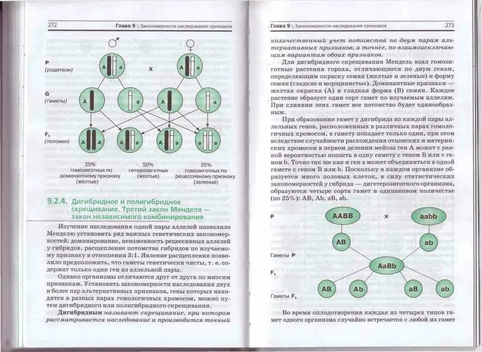 Темы по биологии 10 11