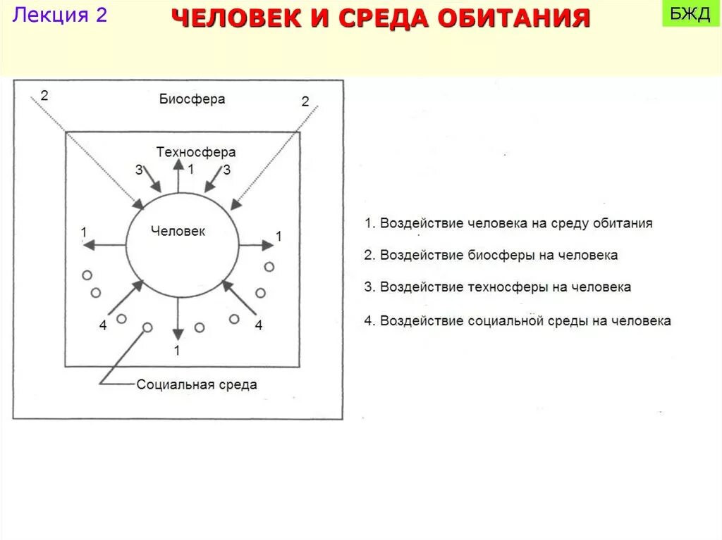 Среда обитания человека схема. Схема воздействия техносферы на человека. Взаимосвязь биосферы и человека схема. Система человек среда обитания БЖД.