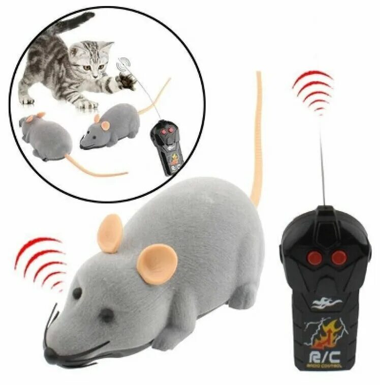 Мышка игрушка на пульте управления. Кот и управляемая мышь. Мышь управляет реальным миром. Мышь на пульте управления. Крыса киборг.