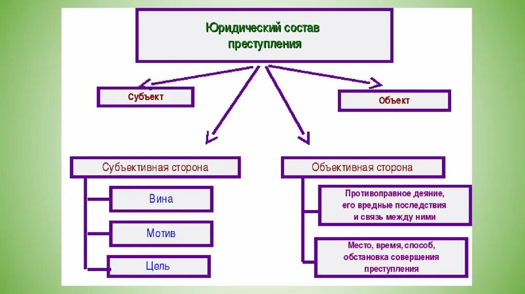 Характеристика субъекта правонарушение