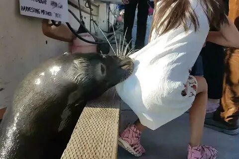 Девочку утащило под воду