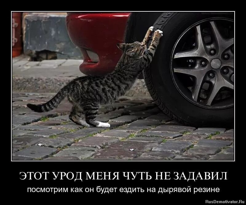 Цитаты про машину. Наклейки на мото надписи. Смешные шутки про мерседес. Субару прикольные картинки. Надписи на внедорожниках.