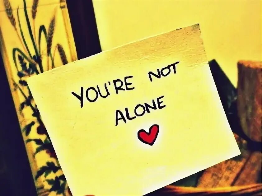 You are not true. We are all in this together. we&#039;re all in this together цветы. you are not alone. you alone.