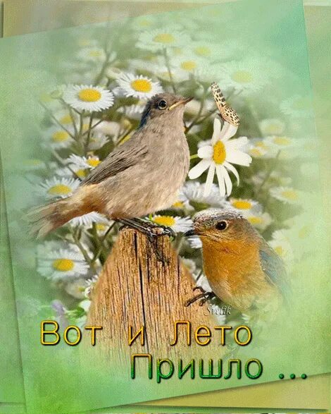 Вот и лето пришло песня слушать