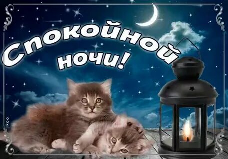 Открытка добрый вечер сладкой ночи