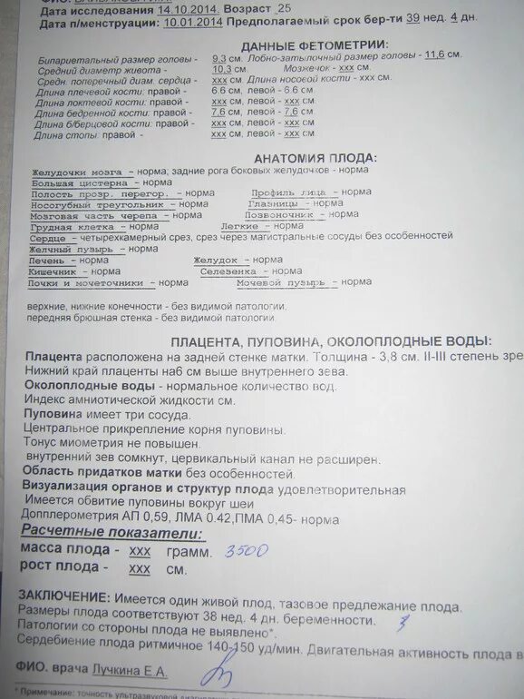 УЗИ третьего триместра беременности показатели нормы. Протокол УЗИ 3 скрининг при беременности. Протокол УЗИ скрининг 3 триместра. Протокол УЗИ плода 3 триместр.