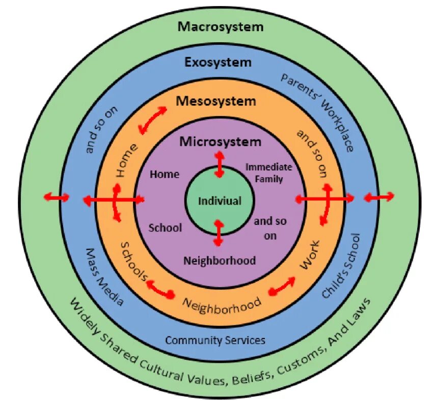 Ури Бронфенбреннер. Бронфенбреннер экологическая модель. Social ecological Theory. Ecological System Theory. Systems theory