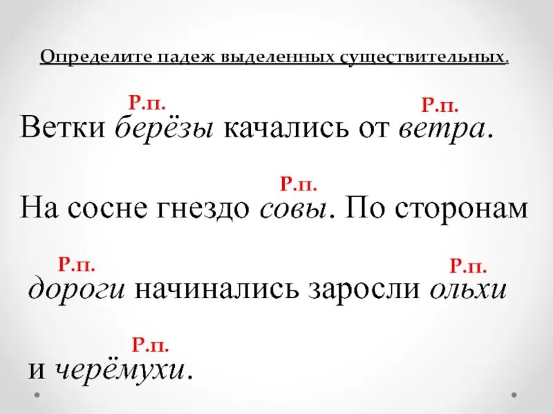 На ветке какой падеж и склонение. На пушистых ветках падеж существительного. Падеж слова ветки. На ветке падеж. Белочка падеж