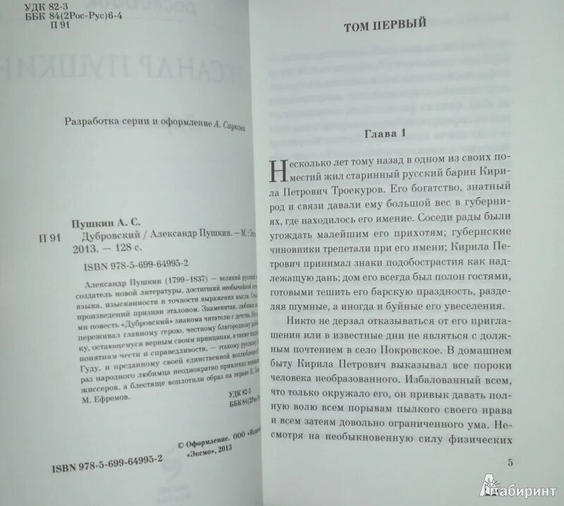 Дубровский количество страниц. Дубровский аннотация. Аннотация к роману Дубровский. Пушкин Дубровский сколько страниц. Дубровский читать кратко главы