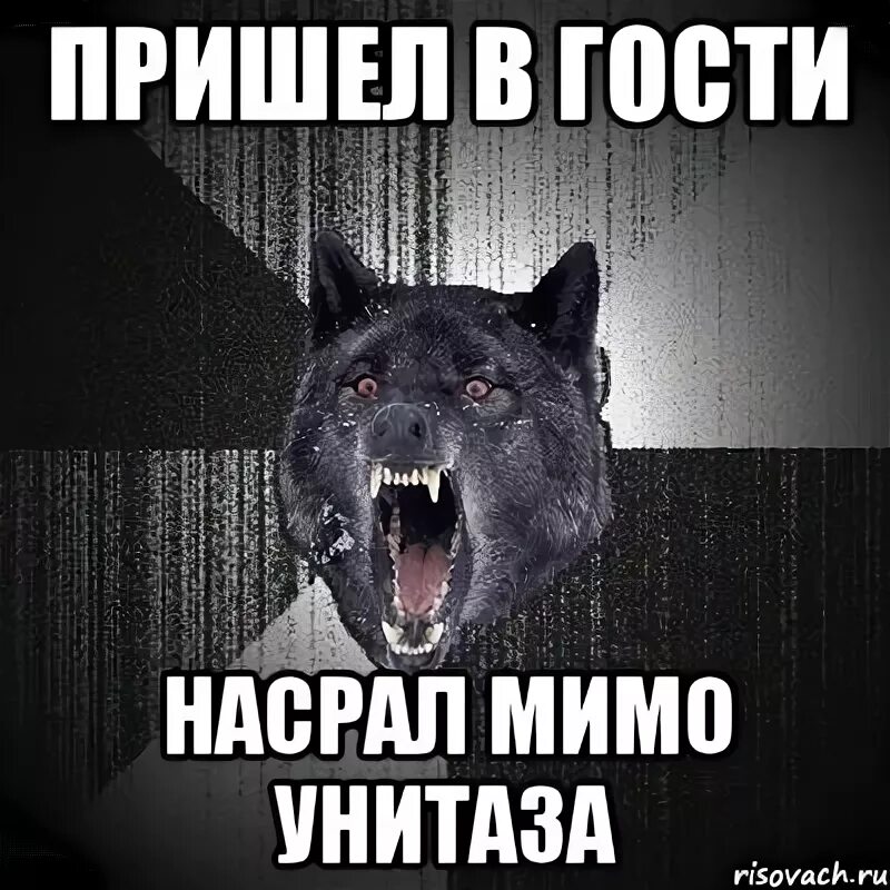 Идет дух мимо туалета. Идет дух мимо туалета. Я вам запрещаю стэтхэм. Мимо унитаза. Табличка "туалет".