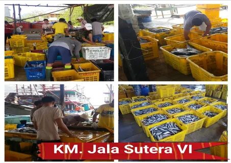 JALA SUTERA VI Membongkar Hasil Tangkapannya 2,7 Ton.