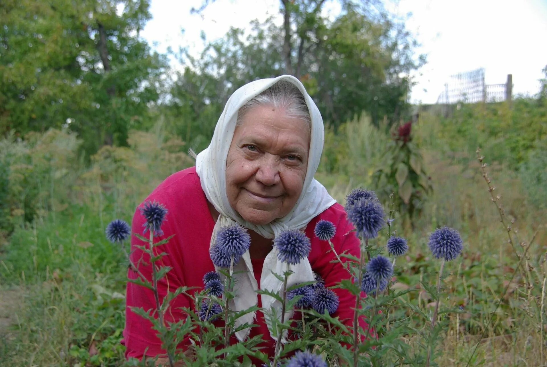 Знахари рак