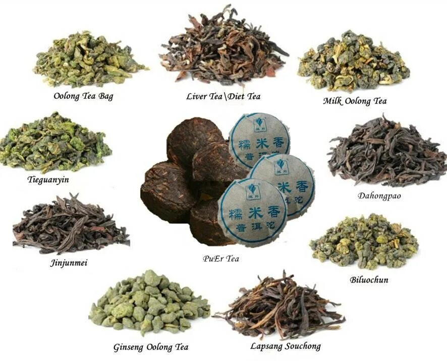 Чай сорта и виды. Разновидности чая. Типы китайского чая. Разные сорта чая. Китайские чаи названия.