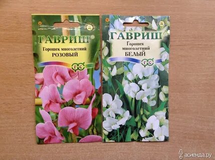 Душистый горошек семена на рассаду