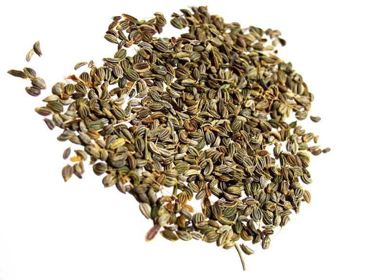 какие семена петрушки. петрушка семена на валберис. какие семена петрушки. какие семена петрушки. снмега петоушки аыоксьииь.