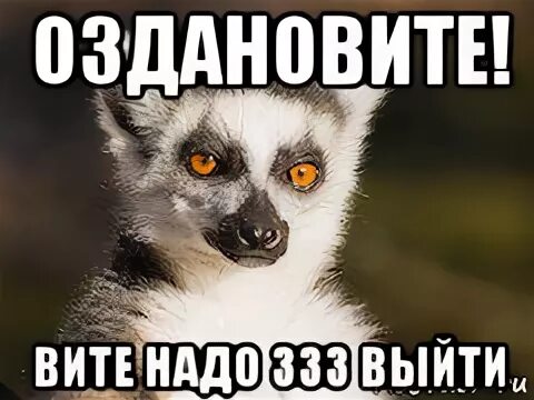 Витя хочет выйти. Остановите Вите надо выйти. Вите надо прикол. Вите надо выйти картинка. Надо Витя надо.