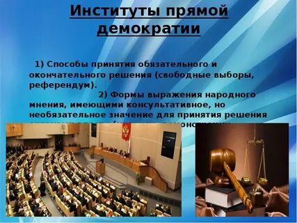 Институты демократической системы
