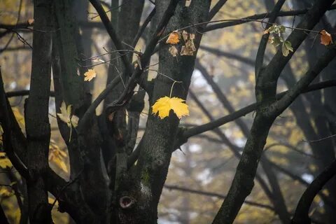Когда похолодает в краснодарском крае