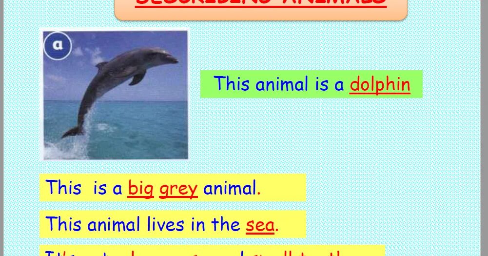 Eye spy игра. Adjectives to describe. Животное с английским учебником. Can you describe these. Adjectives to describe animals.