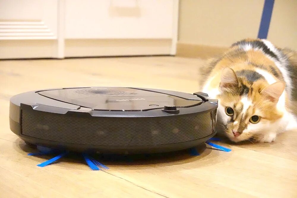 Почему робот пылесос не говорит. Робот пылесос vacuum cleaner. кот на роботе пылесосе. домашние роботы пылесосы.