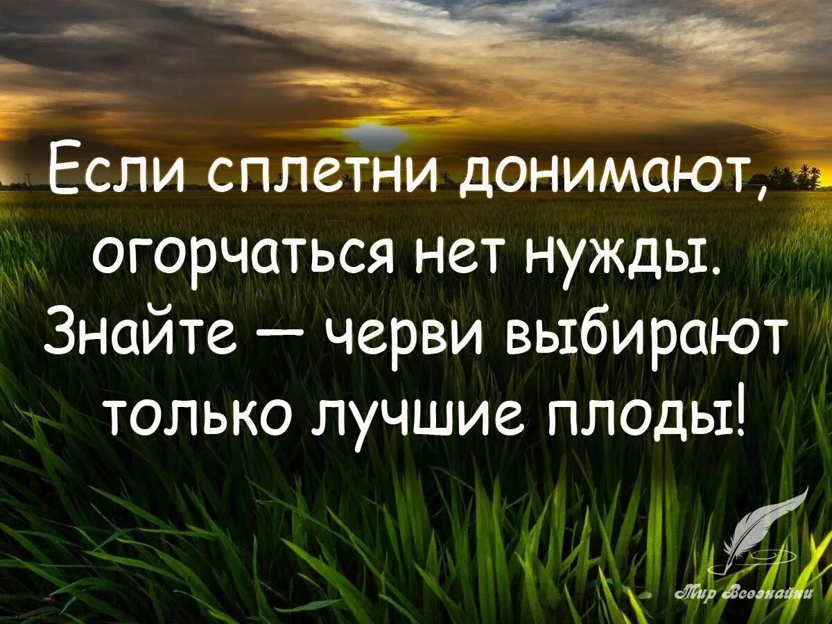 Афоризмы про хорошо. Цитаты про сплетни. Высказывания про сплетников. Фразы про сплетников. Сплетни цитаты афоризмы.