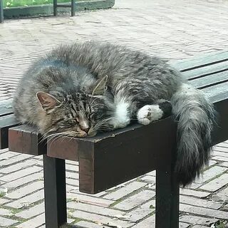 Предлагаю подождать