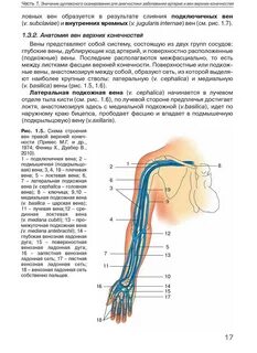 Узи вен верхних конечностей