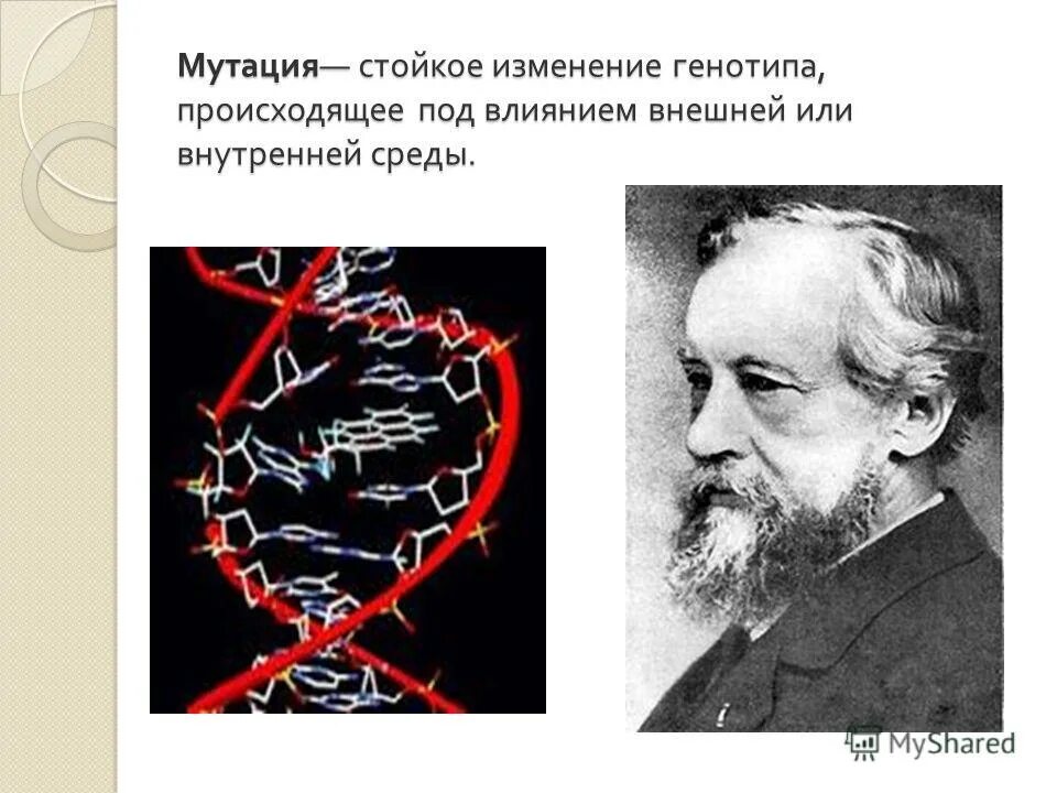 Стойкое изменение генотипа происходящее под действием. Мутация это стойкое изменение. плюсы мутации. минусы мутации. мутагенез плюсы и минусы.