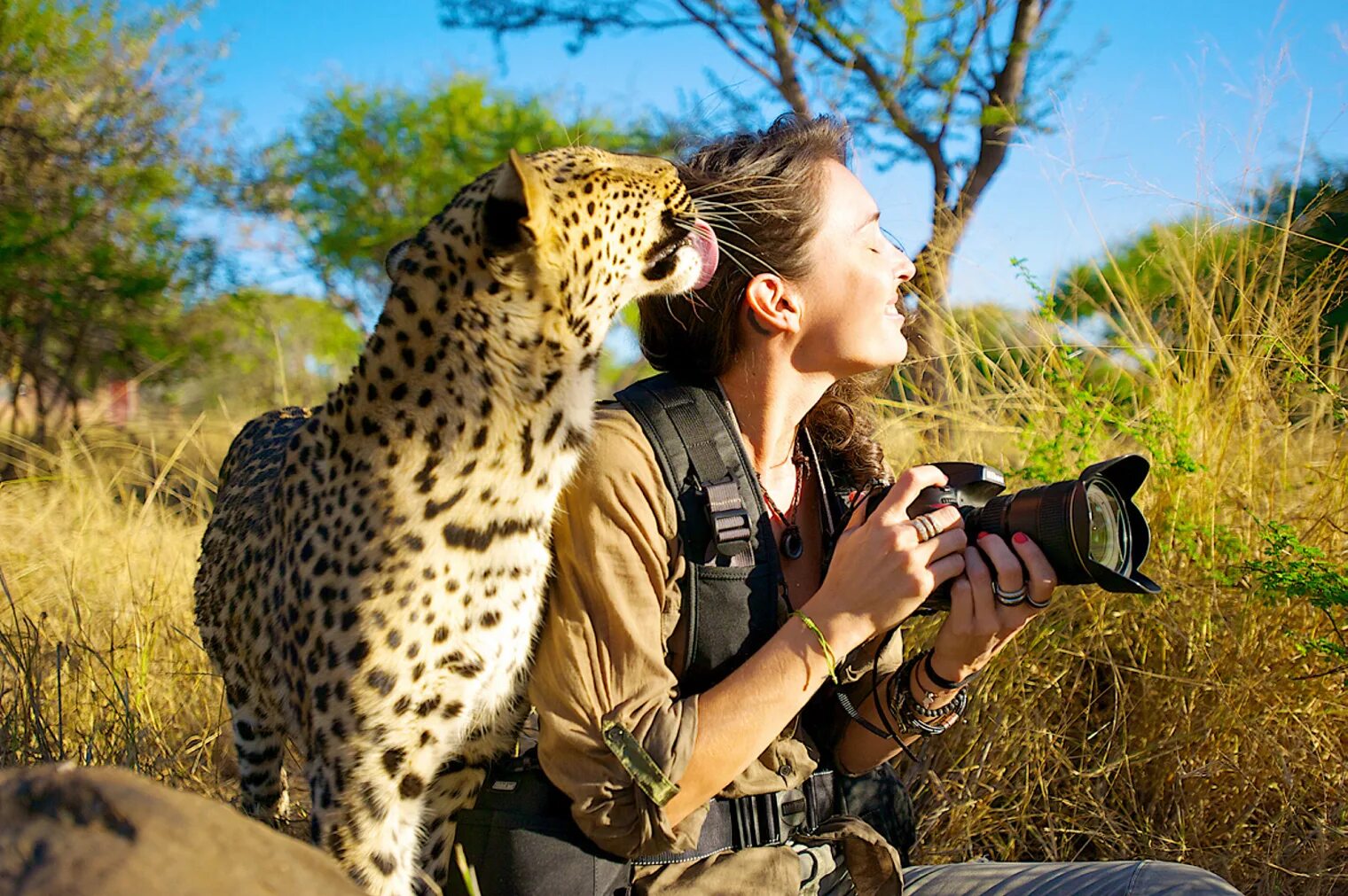 Wild animals play. Люди и животные. Люди и животные на природе. Фотосессия с животными. Необычные Дикие животные.