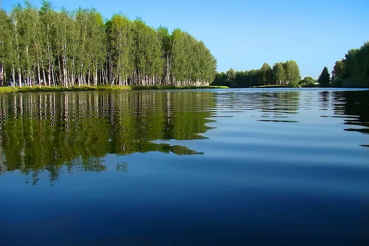 В озере есть участок. Шелехметское озеро Самарская область. Золоторевский пруд. Пруд Либерский Самара. Воскресенский пруд Самарская область.
