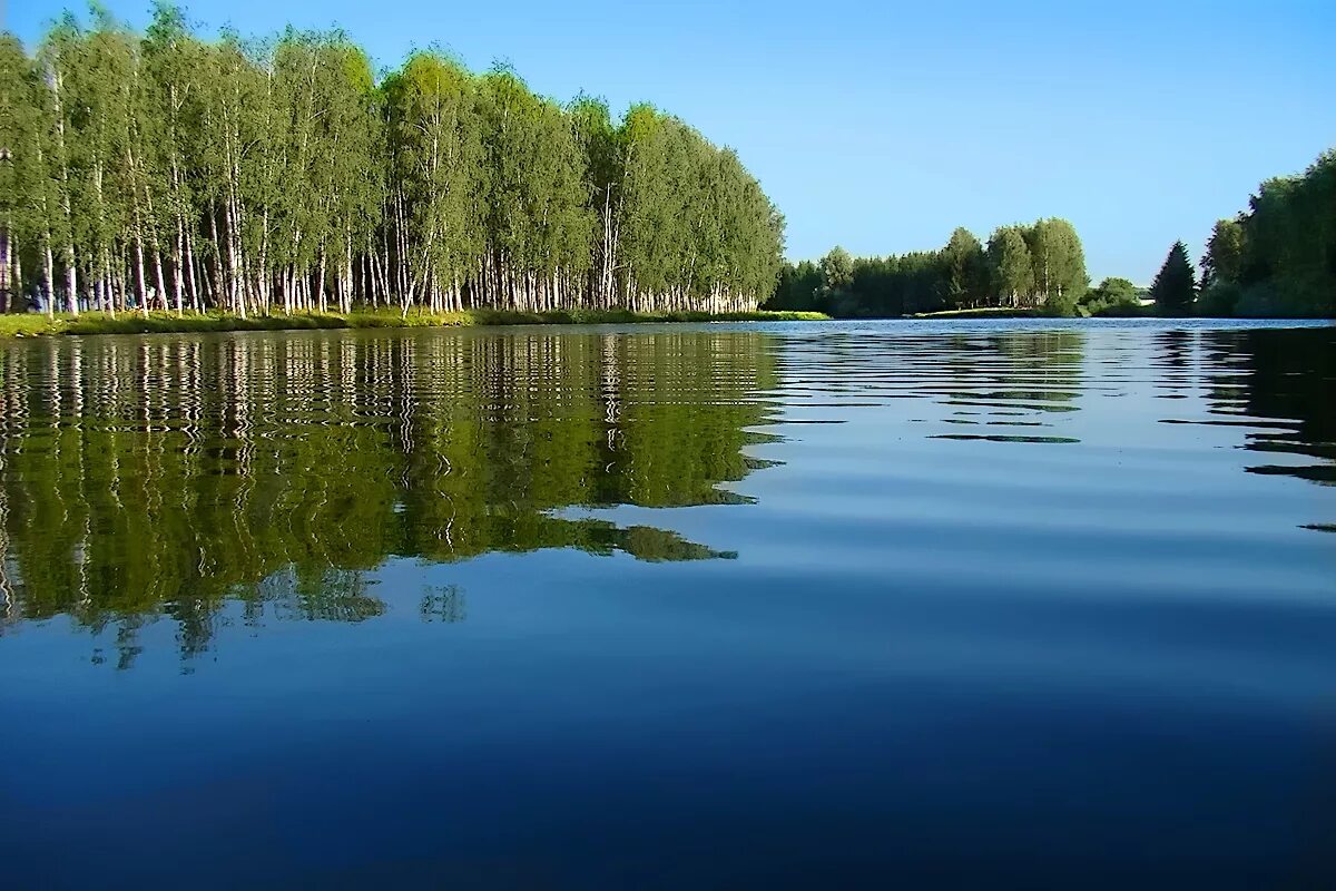 Водоемы области. Шелехметское озеро Самарская область. Воскресенский пруд Самарская область. Пруды озера и водоемы Самарской области. Озера, и, пруды, Самары, и, Самарской, области,.