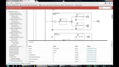 Camunda variables