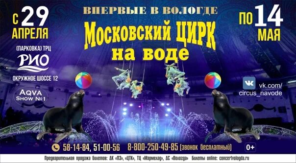 Цирк на воде чебоксары 2024 цена билетов. Билет в цирк. Билеты в цирк распечатать. Образец билетов в цирк. Цирк Вологда.