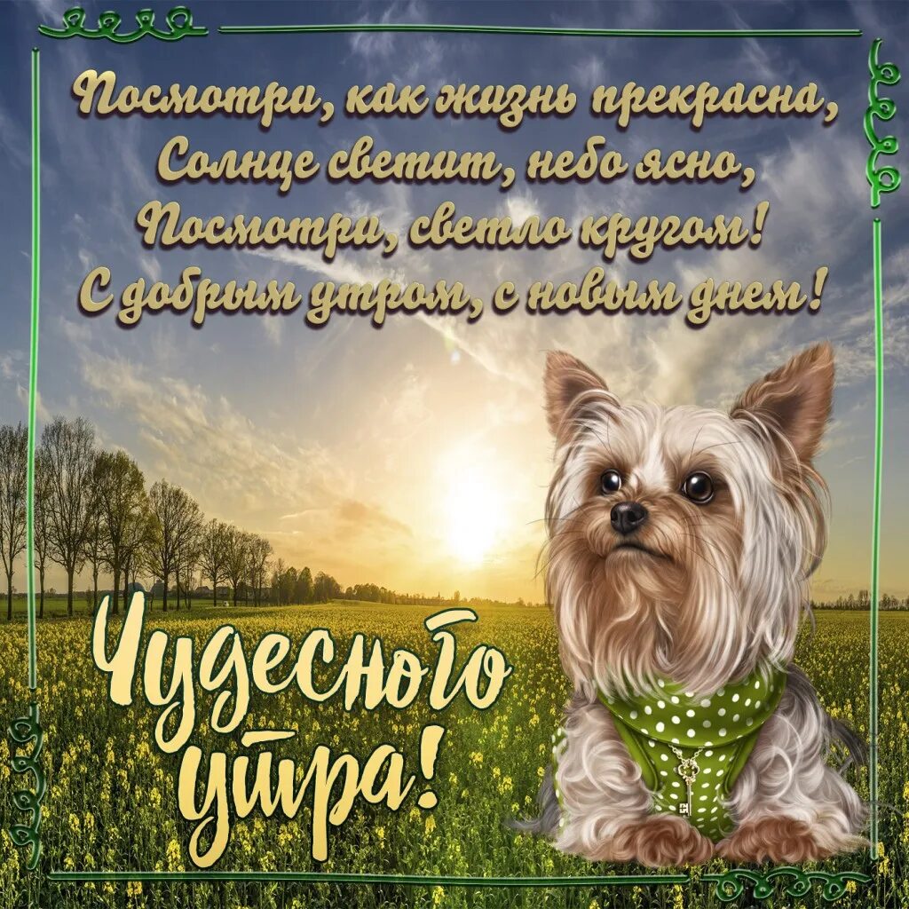 Pin op ДОБРОЕ УТРО ! Привет !☕ ☕