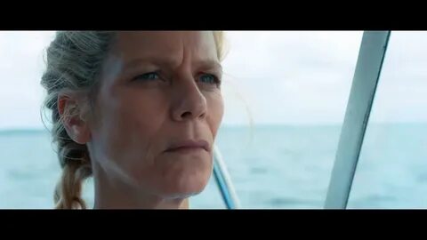 Закрытое море год акулы