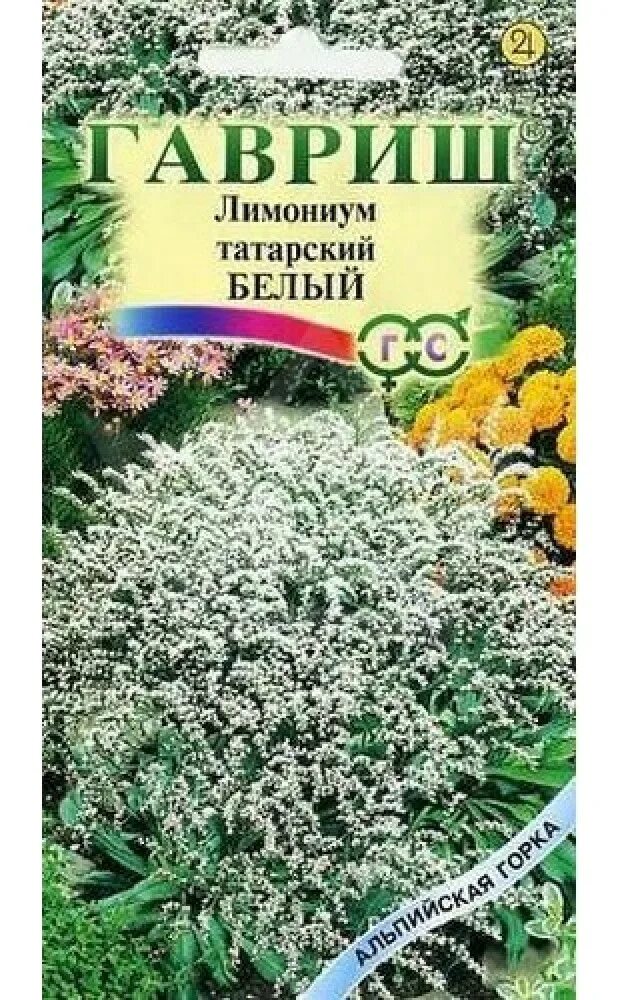 Купить кермек татарский. Цветок кермек лимониум Суворова. Лимониум семена. Цветок кермек лимониум семена. Статица кермек Татарская.