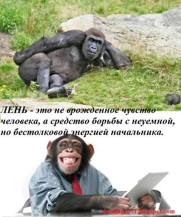 Неуемный это. Неуемный какой. Одна пробив в сознаньи брешь вернулась и сказала внятно поешь. С годами научилась я ценить заваренный на травах свежий чай. Неуемный это.