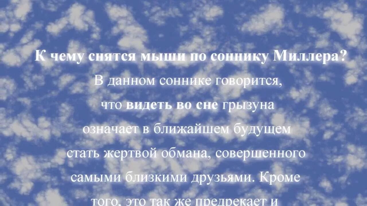 Сонник приснились мыши. К чему снятся мыши во сне женщине. мыши во сне к чему снится женщине много. сонник к чему снятся мыши. к чему снятся мыши маленькие женщине.