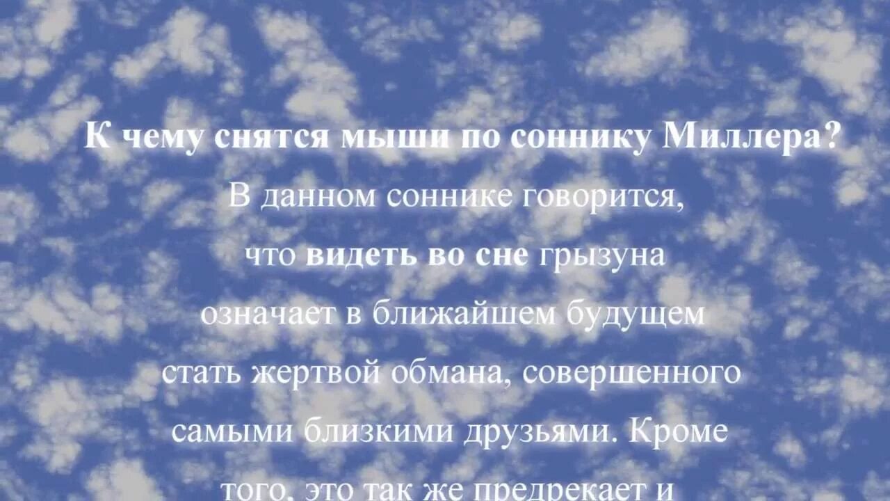 К чему снится мышь женщине. К чему снятся мыши во сне. Мыши во сне к чему снится женщине много. Сонник к чему снятся мыши. Сонник видеть мышей