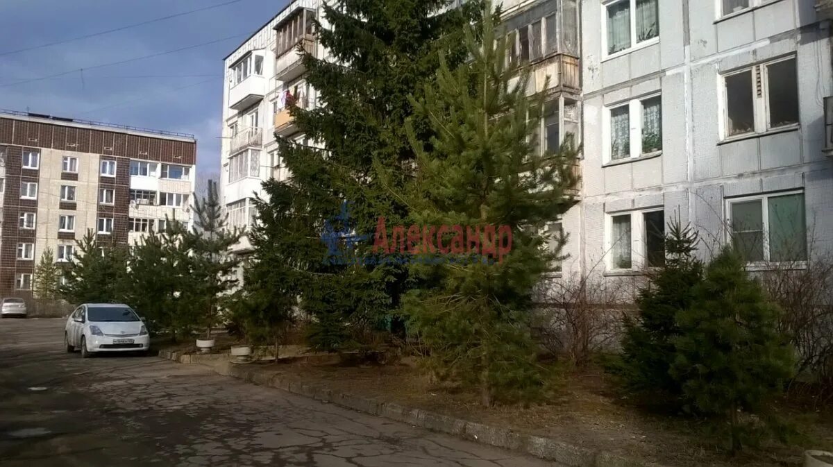 Жк низино. Жк мандарин низино. Жк мандарин низино. Квартира в ломоносовском районе низино. Низино мандарин.