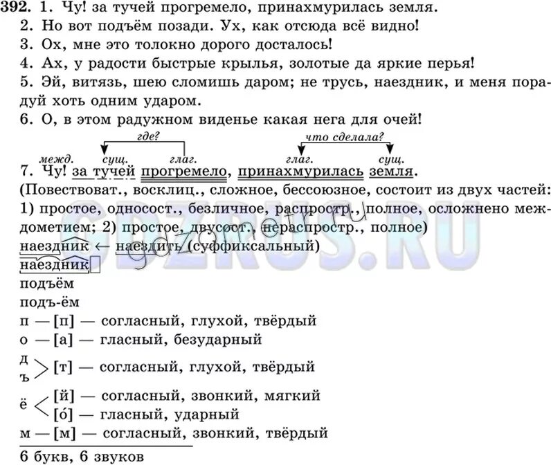 Русский язык 8 упр 392. Русский язык 8 класс ладыженская номер 392. Русский язык 8 класс упр 392.