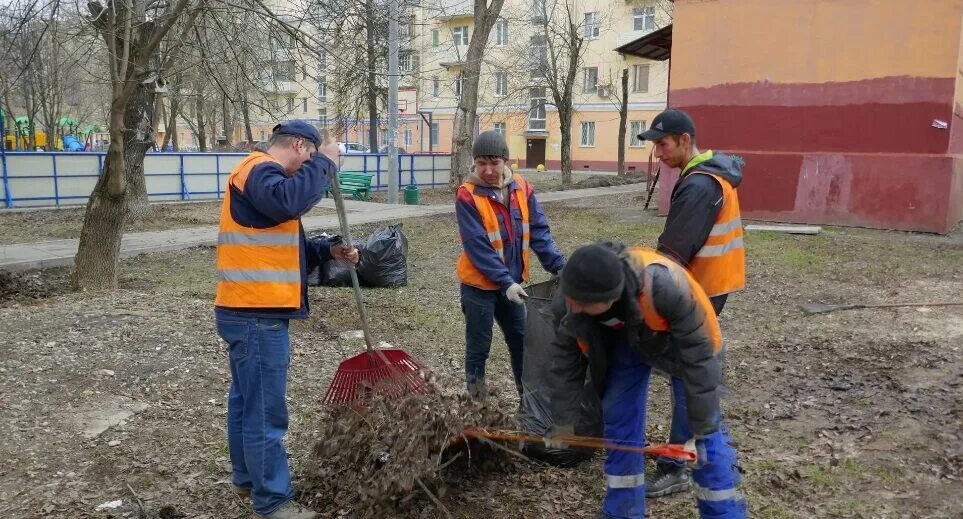 Субботник в Подмосковье. Совет и субботники во дворах. Субботник в Подмосковье 2023. Уборка территории картинки. Клининговые подольск